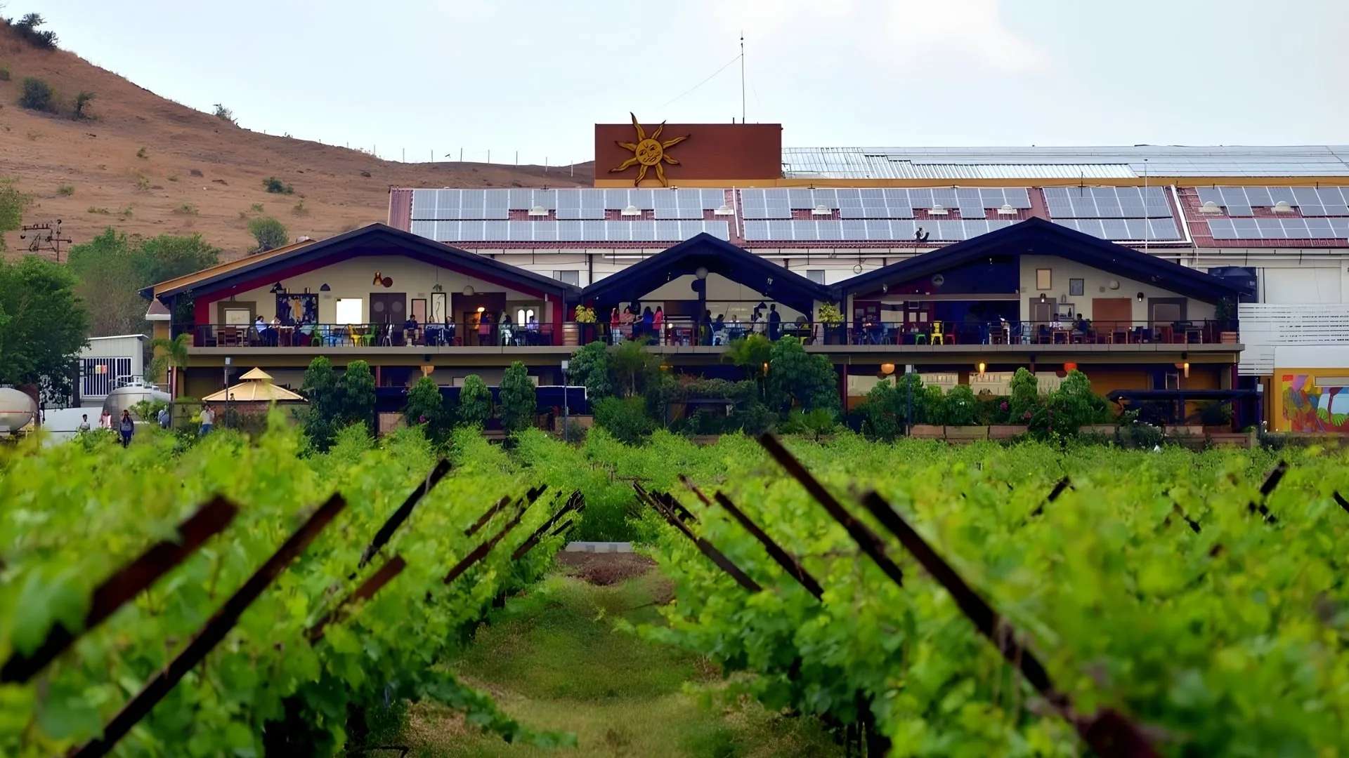 Vineyard Tour at Domaine Sula